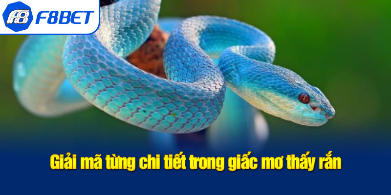 giải mã mơ thấy rắn