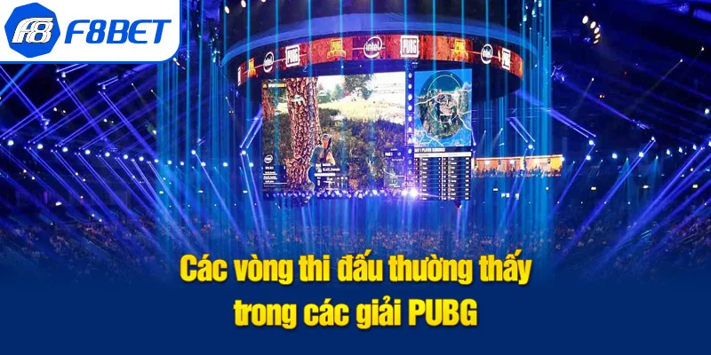 vòng thi đấu giải đấu pubg